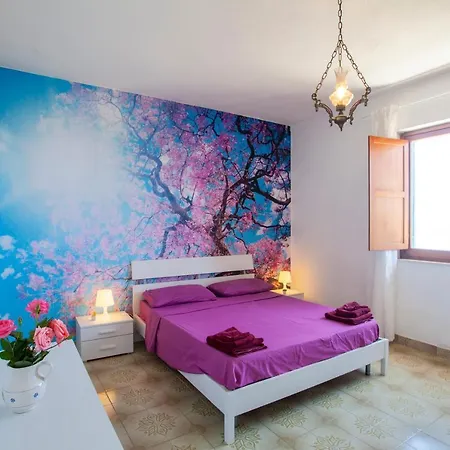 Don Bruno Homes *