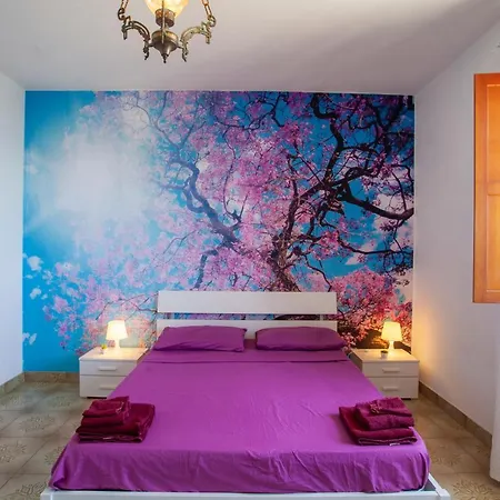 Don Bruno Homes *