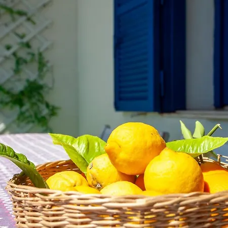 Don Bruno Homes Casa vacanze *